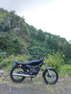 Rx s Up king 2001