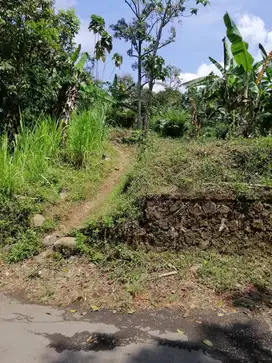 Dijual Tanah Kebun SHM