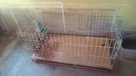 Kandang ukucing ukuran 1 meter
