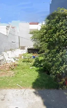 Dijual Cepat Rumah Tua di Pluit Murni Harga Murah .