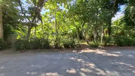 Tanah Pekarangan Luas Lokasi Berada di Daerah Bambang Lipuro Bantul
