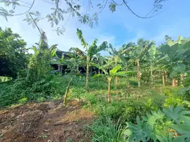 Tanah dibawah harga pasaran Curug gunung Sindur Bogor SHM