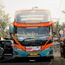 Jasa Sewa Bigbus Medium Bus