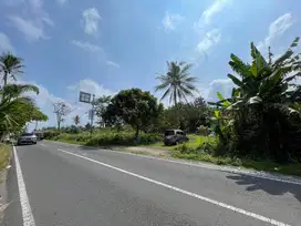Tanah Palagan KM 15 Dekat Kampus UII, Cocok Usaha Hunian atau Kost