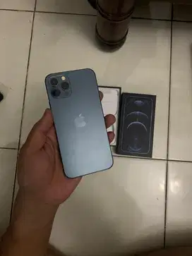 Iphone 12 Pro 256gb Pasific Blue Nominus Allop