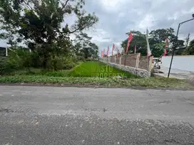 DIJUAL TANAH LUAS SHM MANGKU JALAN DI GODEAN
