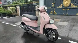 YAMAHA FILANO LUX 2024