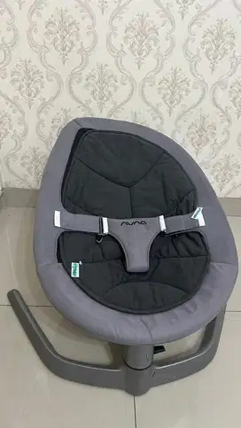 Ayunan bayi bouncer nuna leaf