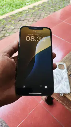 Iphone 12 Pro Max 256 G ex Ibox