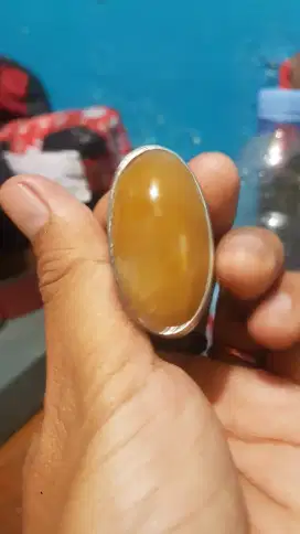 akik dan fosil MG dim jumbo