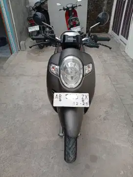 Scoopy 2019 jogja