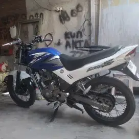 Scorpio putih stero