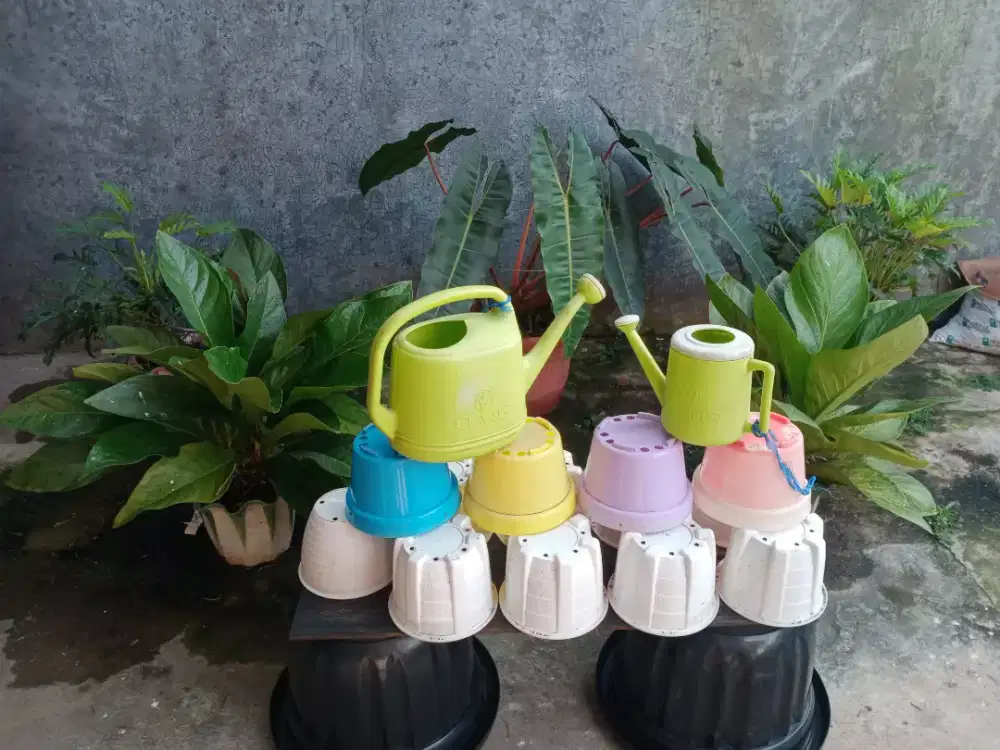 Pot ukuran D50cm X T 45cm dan 20cm bekas berkualitas, jual borongan