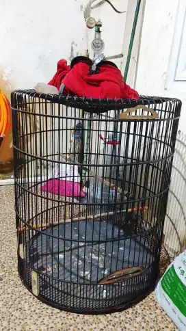Sangkar murai batu merk SNI