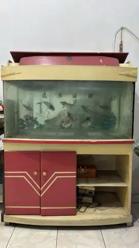 Aquarium buffet bekas