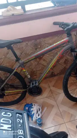Sepeda Polygon Monarch M4