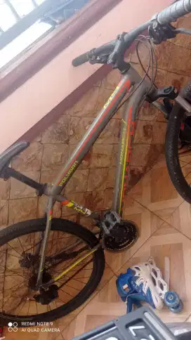 Sepeda Polygon Monarch M4