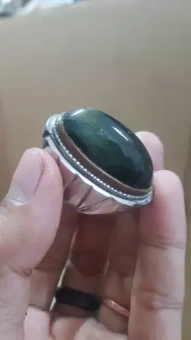 pandan suji lumut dim 35