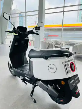 MOTOR LISTRIK PYTRON EV