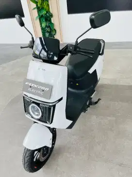 MOTOR LISTRIK PYTRON EV
