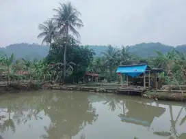 DI JUALN TANAH EMPANG MURAH STRATEGIS DI DRAMAGA BOGOR