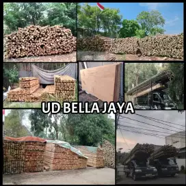 Jual bambu steger, kaso, triplek, dolken
