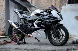 KAWASAKI NINJA 250 RRMONO