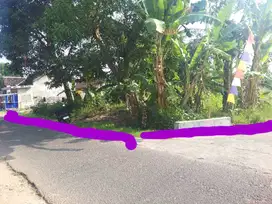 Tanah Pekarangan Bagus 2 Muka di Prambanan Sleman TP 125