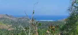Tanah areguling kuta mandalika lombok