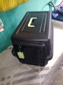 Kandang Jinjing Kucing