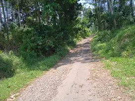 Kebun luas murah buat investasi di kota kajen