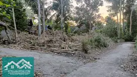 Jual Tanah Murah Di Seyegan, Cocok Untuk Hunian & Kavlingan