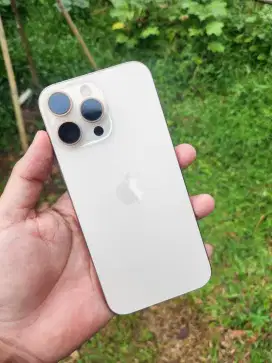 iPhone 16 Pro Max 256GB iBox