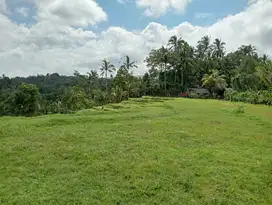 Dijual tanah kosong view perbukitan dan laut di selemadega Tabanan
