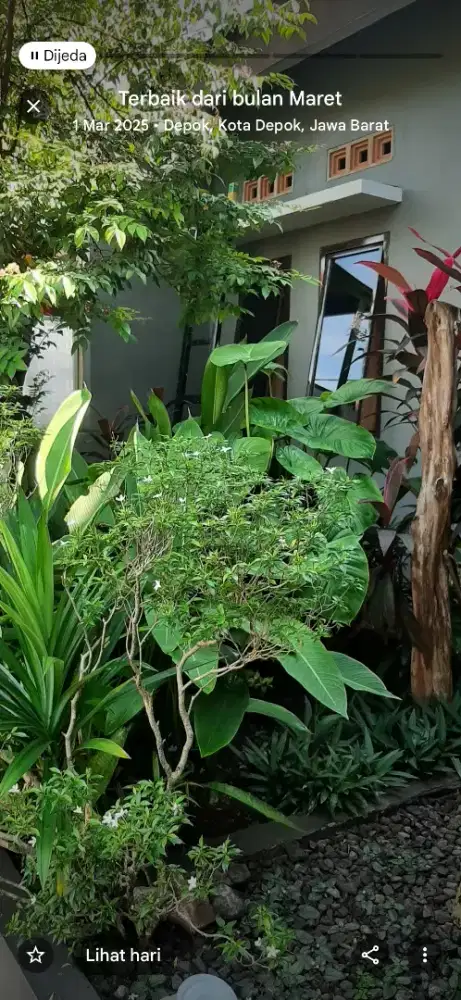 Dijual Cepat Rumah Tinggal