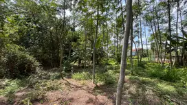 Dijual Tanah Strategis di Kawasan Industri Bojong, Pekalongan