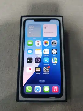 iPhone 11 pro max 256gb inter all operator face id on true ton on