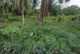 [DIJUAL] TANAH LUAS 4442 m² – Lokasi Strategis di Air Joman, Asahan