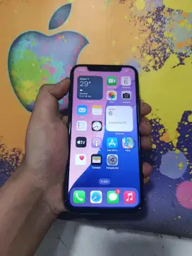 iPhone xs 256gb inter all operator