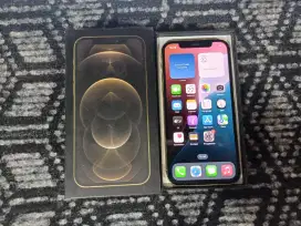 Iphone 12 pro 256 Hb79% Klngkapan unit dus