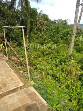Tanah Strategis Di Pinggir Jl Raya Altenatif  Cipanas Jonggol Bogor