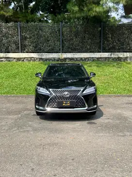 Lexus RX 300 Luxury 2019