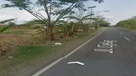 TANAH DISEWAKAN