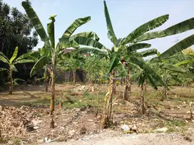 Tanah Murah Depok, 9 Menit The Park Sawangan, Terima SHM