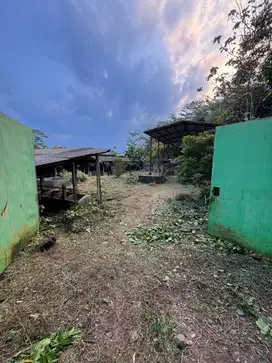 Dijual tanah dan kandang sapi !