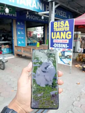 Oppo reno11 5g 8/256