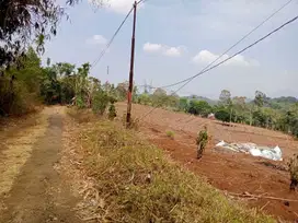 Tanah Darat Sangat Subur Tuk Pertanian Cocok Segala Jenis Tanaman