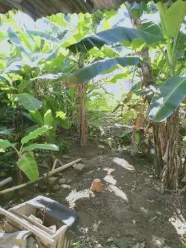 Dijual Tanah Lokasi Strategis Jl Made Selatan Surabaya