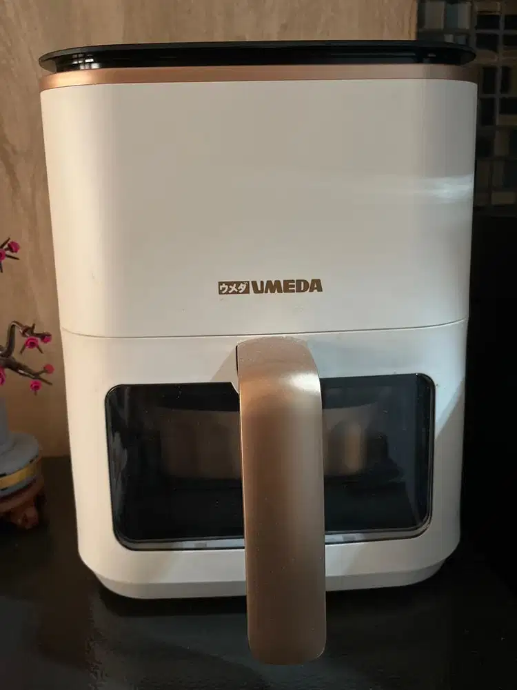 WTS Umeda Airfryer