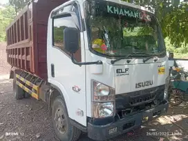 Dijual Dump Truck Isuzu NMR 81 150 PS 2024